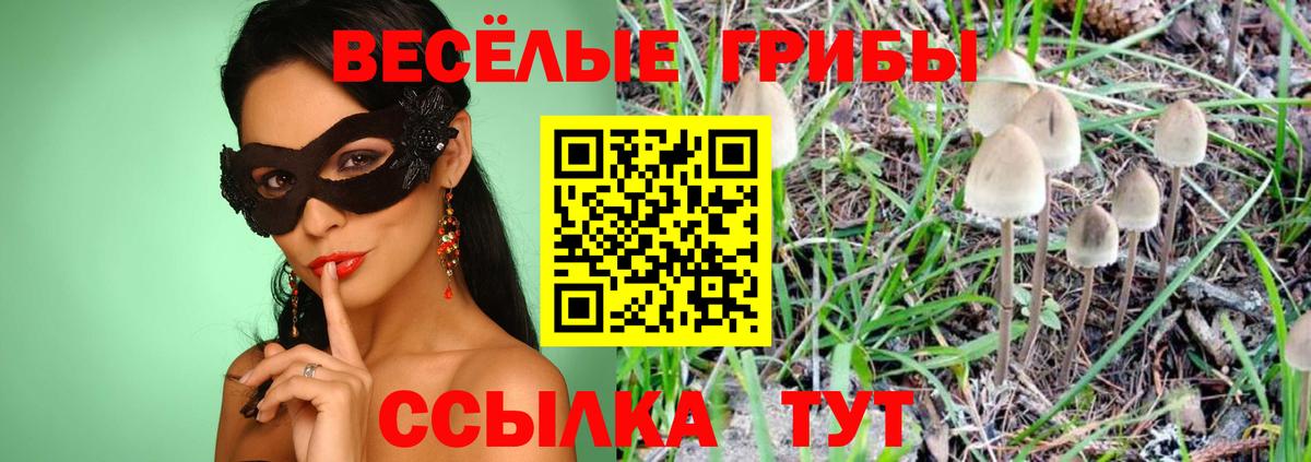 Ногинск  Галлюциногенные грибы GOLDEN TEACHER  Вход с VPN 